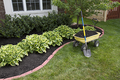 Green Lawn with a flower bed